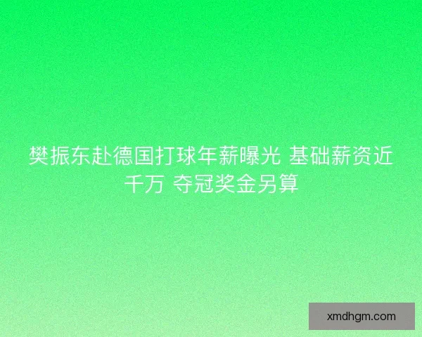 樊振东赴德国打球年薪曝光 基础薪资近千万 夺冠奖金另算