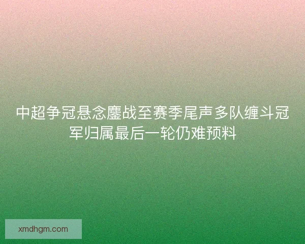 中超争冠悬念鏖战至赛季尾声多队缠斗冠军归属最后一轮仍难预料