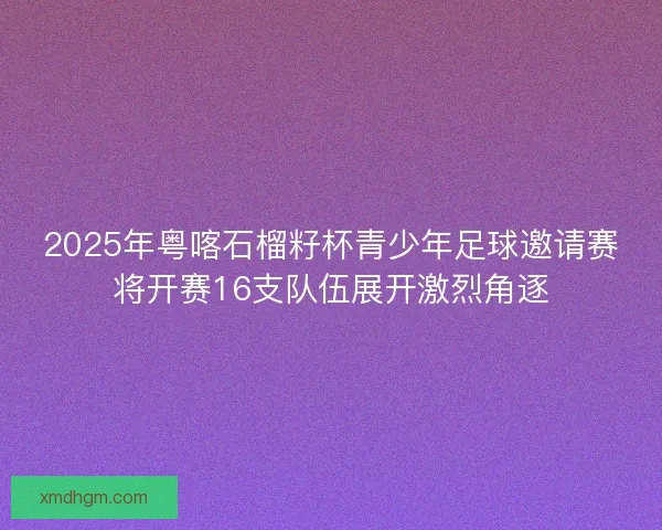 2025年粤喀石榴籽杯青少年足球邀请赛将开赛16支队伍展开激烈角逐